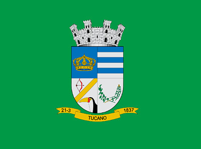 bandeira da minha cidade