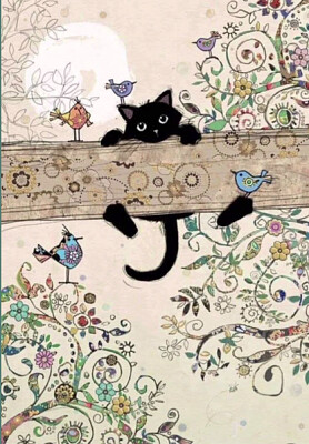 gatto