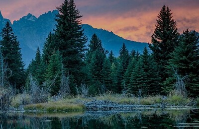 Nature