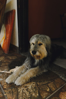 totinho