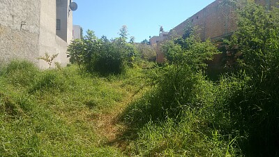 terreno1