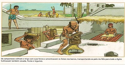 Egito- Trabalho