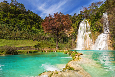 Paisaje Natural