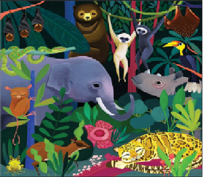 jungle