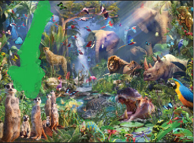 jungle