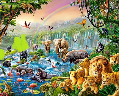 jungle