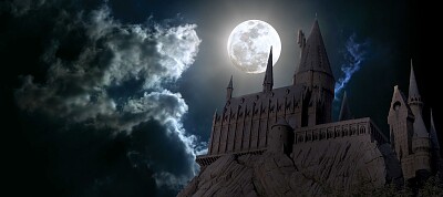 HP011