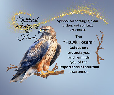 The Hawk
