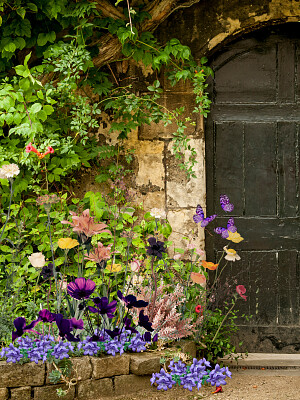 Secret Garden
