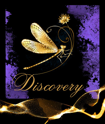 Discovery