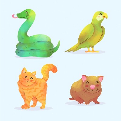el mundo de los animales