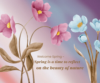 Spring Reflection