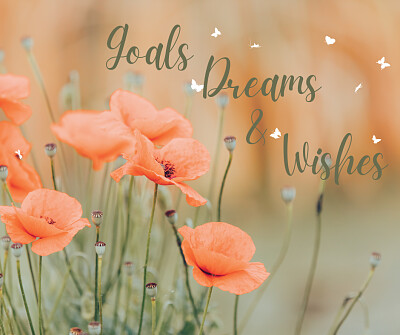 Goals, Dreams   Wishes