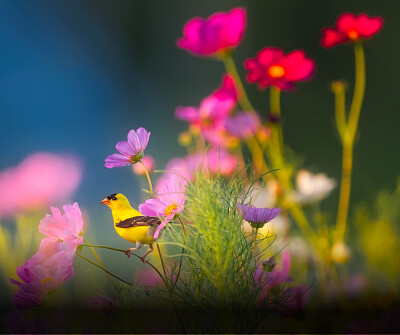 Springtime