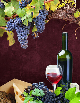 Wine   Cheese