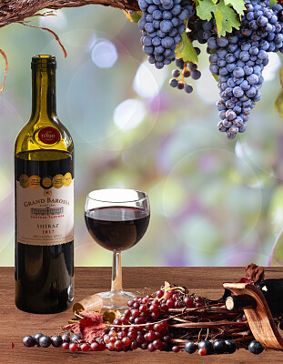Wine Tasting