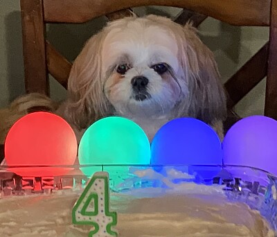 Mia 's 4th Birthday