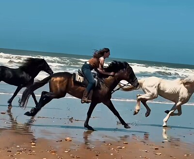 HorseRide