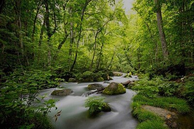 Nature