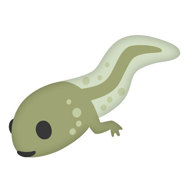 Metamorfosis de la rana