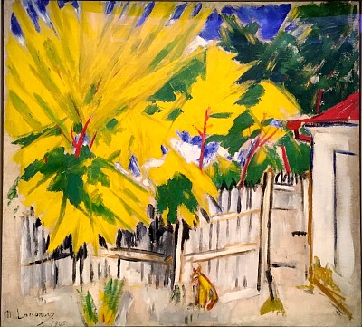 Larionov Paysage
