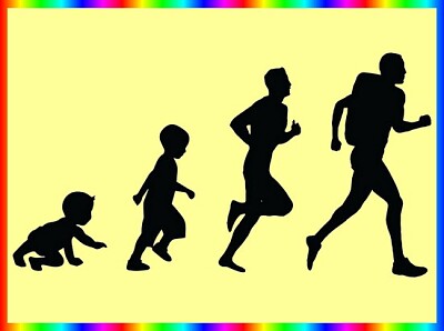 Evolution