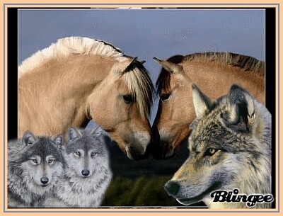 Chevaux et loups