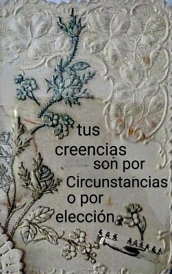 mi libro