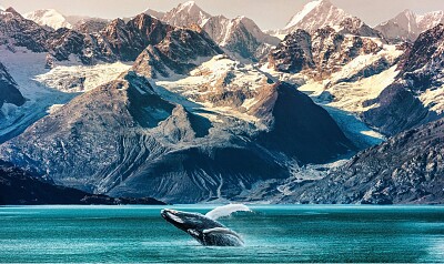 Calafate