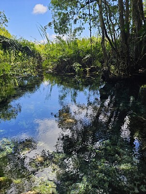 Manantial Guayaney, Manatí, PR