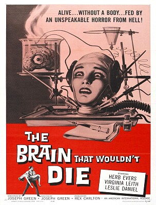 Brain