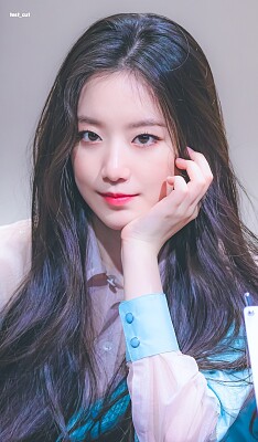 舒華