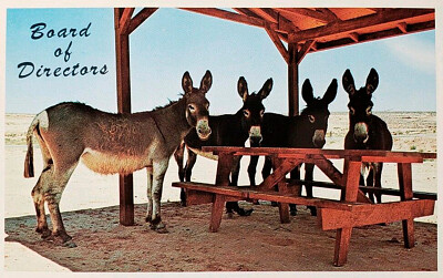 Donkey Picnic