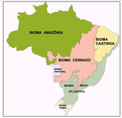 Biomas brasileiros