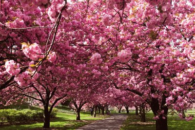 paisaje primavera