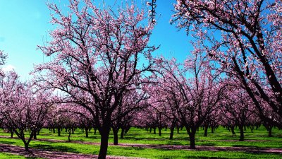 paisaje primavera