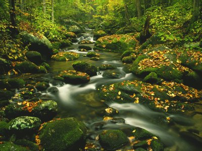 rio hermoso en primavera jigsaw puzzle