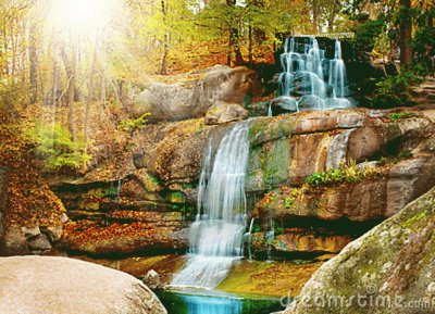 פאזל של cascada del bosque en otoÃ±o