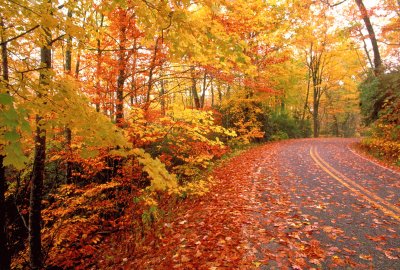 hermoso otoÃ±o jigsaw puzzle