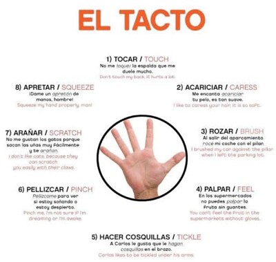 Arte