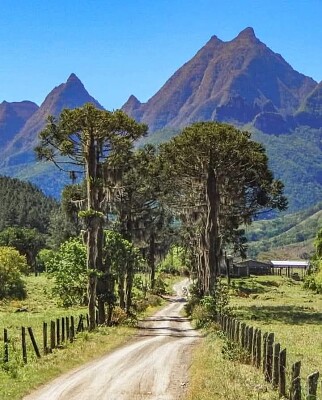 estrada