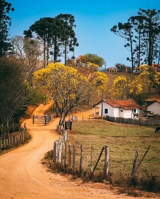 pó ou barro
