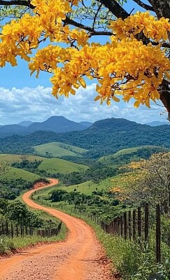 estrada