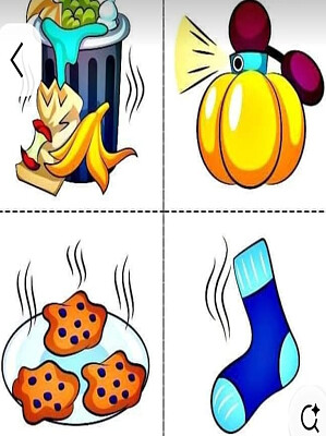 OLFATO