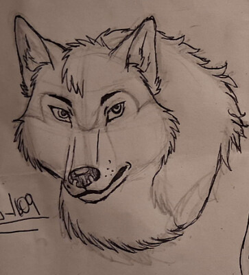 Lobo anime