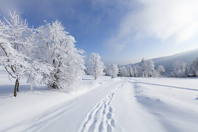 Nieve