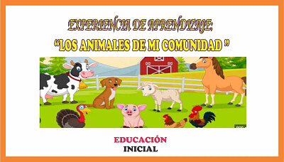 animales domesticos