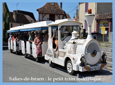 Petit train touristique