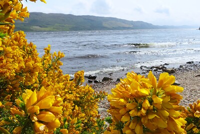 Loch Ness, Schottland