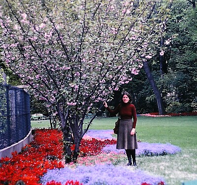 jardim 3